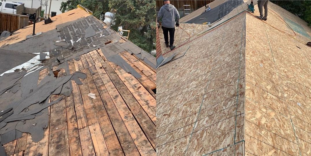 Ensuring Safety Above All: The Latest in Roof Repair in Plantation